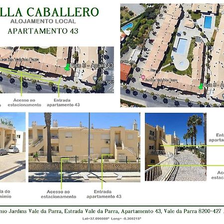 Flat Caballero Apartment Guia  Exterior photo